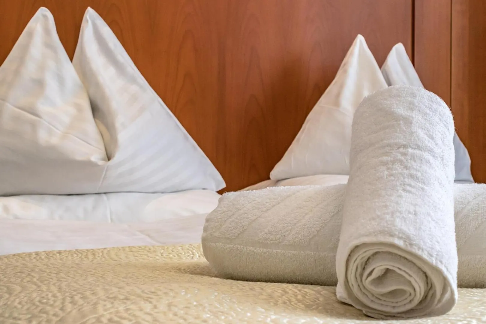Hotel Corvinus Vienna - Newly Renovated 4*,  Austria